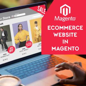 E-commerce Magento Website (100 to 500 products)